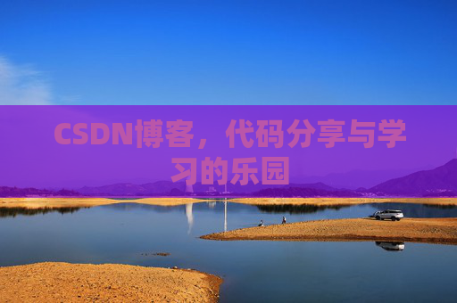 CSDN博客，代码分享与学习的乐园